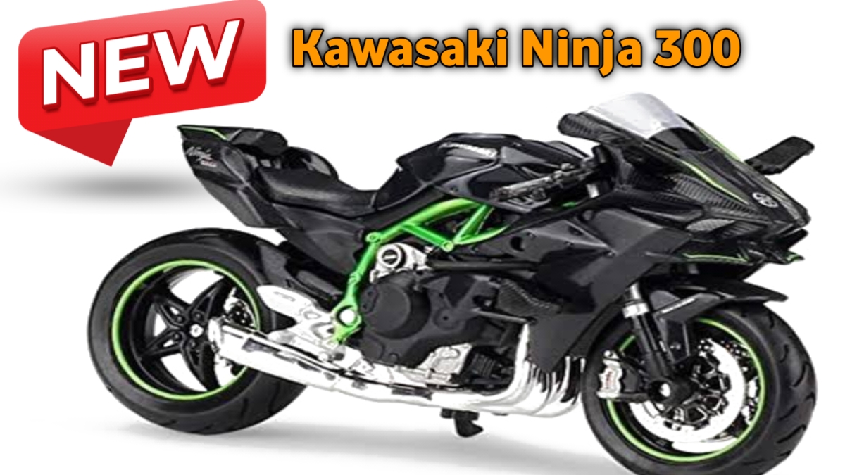 Kawasaki Ninja 300