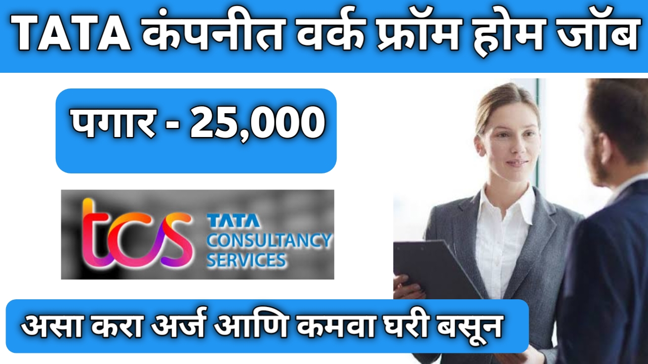 TCS Work From Home Job